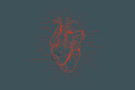 心简单心脏设计图片