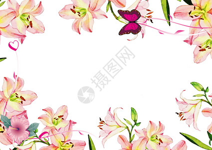 粉色的百合花百合花背景图设计图片