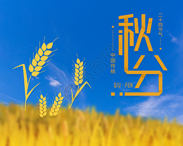 水稻收获秋分设计图片