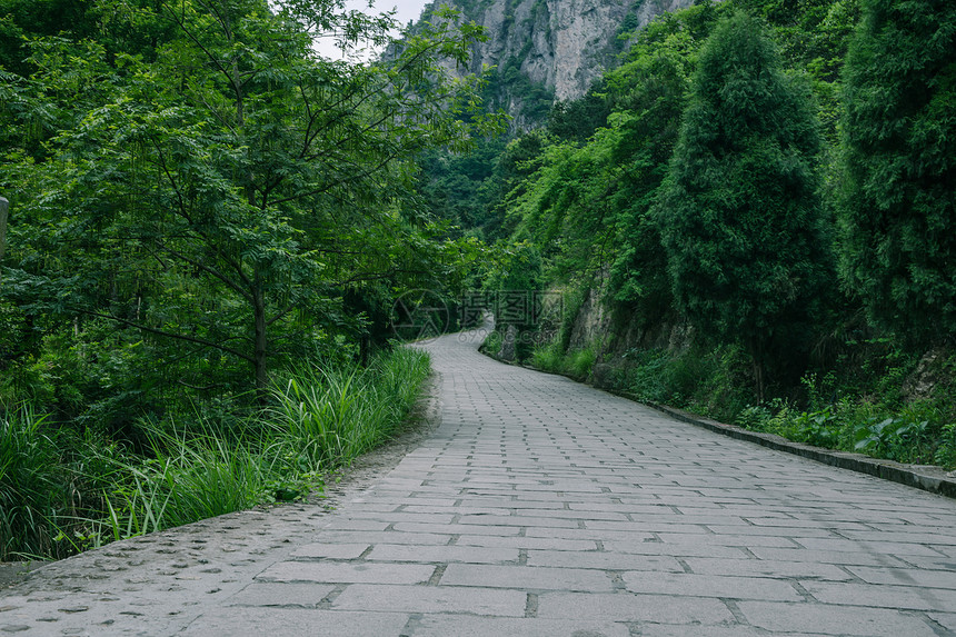 景区内清新公路风景图片