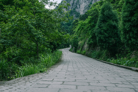 路上人头串动景区内清新公路风景背景