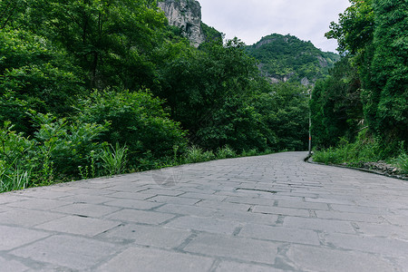 路上人头串动景区内清新公路风景背景