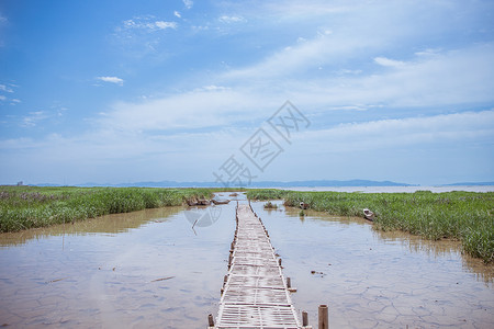 蓝天白云清新竹桥滩涂风景图片