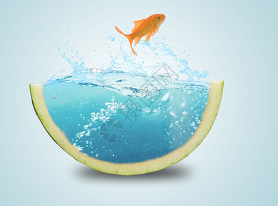 海洋食物素材夏日西瓜设计图片