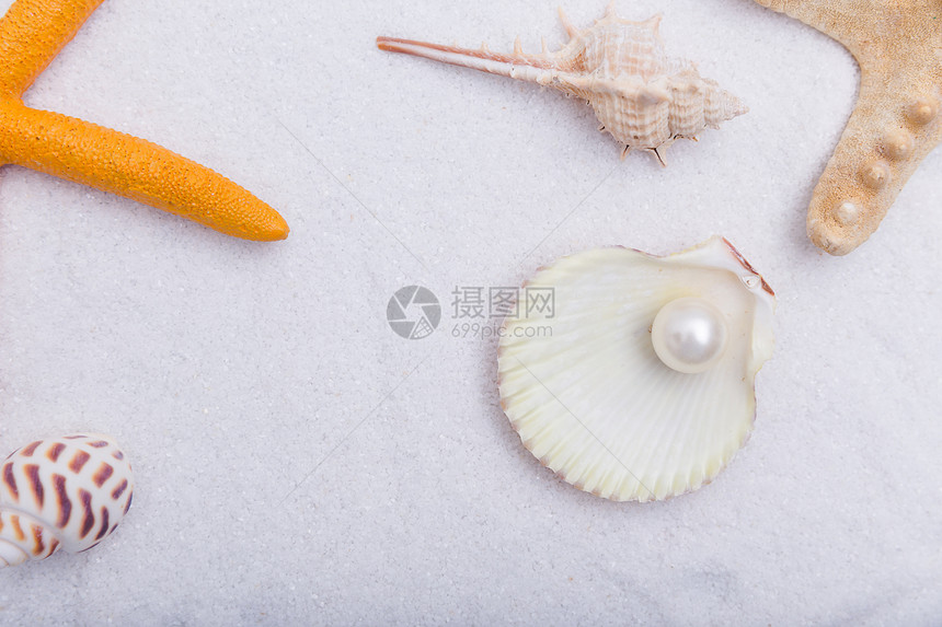 夏日沙滩珍珠贝壳海星素材图片