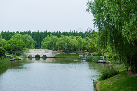 小桥湖面图片