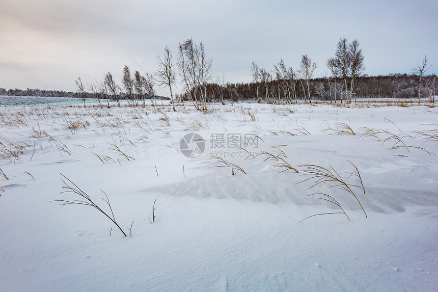 雪地荒原图片