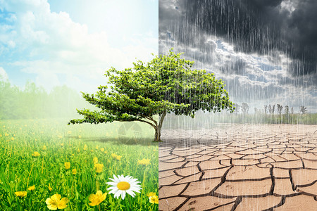 绿色心情雨季和干旱设计图片