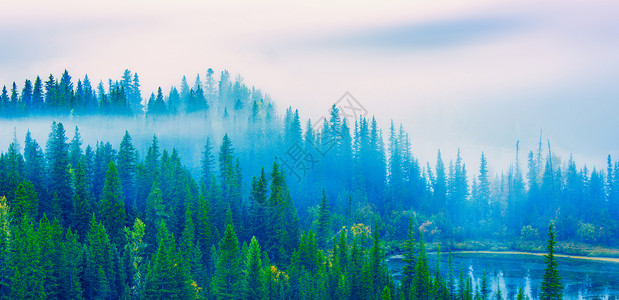 森林晨雾秋天高清图片素材