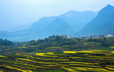 安徽家朋田地曾家山高清图片