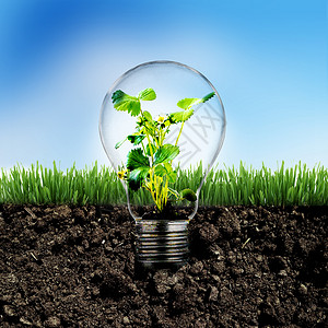 吸取知识从地里长出来的创意植物灯泡设计图片