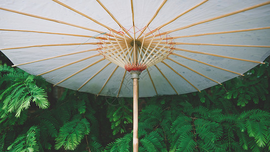 雨天纸伞自然洁白高清图片