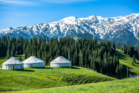 雪山树林新疆风光背景