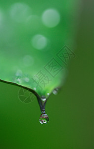 后一场雨清新高清图片素材