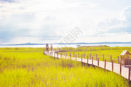 花丛中的情侣景中的情侣背景