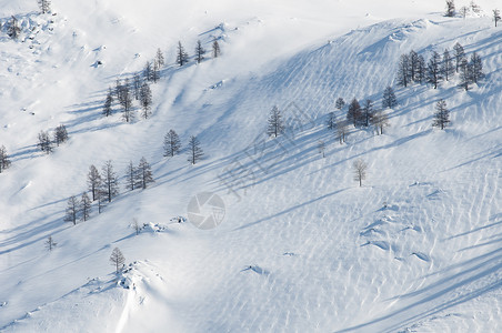 山野雪原图片