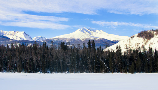 积雪山峰喀纳斯雪峰森林背景