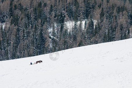 雪橇ps素材北方冬季大雪背景