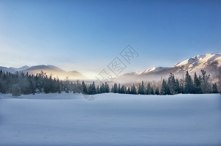 冬季奥运喀纳斯雪山晨雾背景