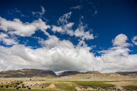 西藏的蓝天白云 图片