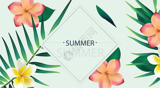 花卉叶子边框夏天植物花卉背景设计图片