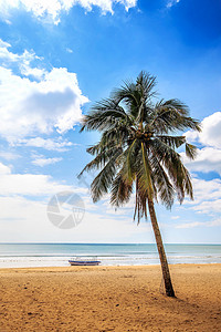 三亚椰子树海边风光背景