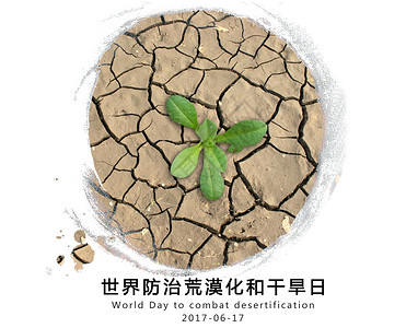 红树林湿地世界防治荒漠化和干旱日设计图片