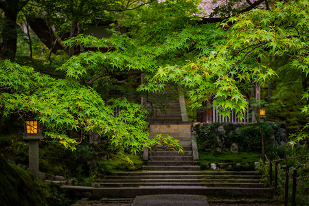 寺廟禅意的台阶背景