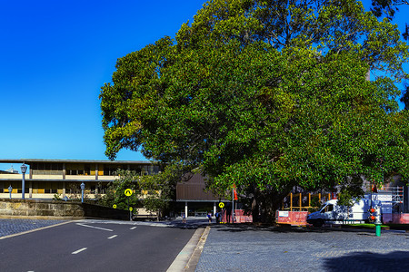 澳大利亚街景背景图片