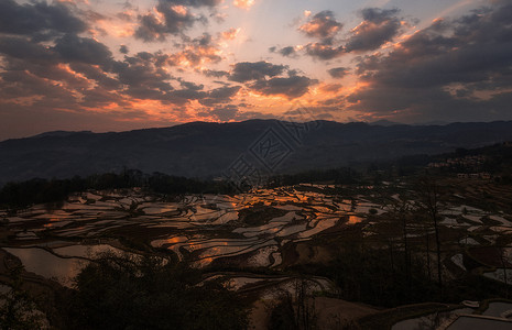 中国最美梯田元阳多依树梯田背景