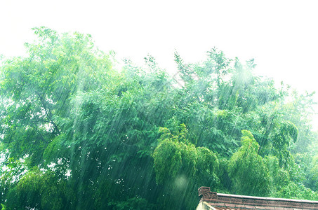 夏天午后的暴雨雨水高清图片素材