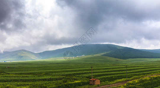 内蒙大草原内蒙草原背景