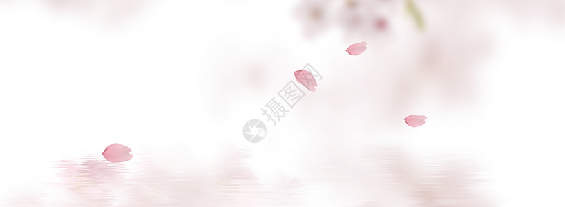 粉红色落叶淘宝banenr设计图片