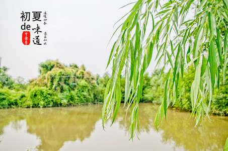 奔跑吧夏天文字初夏的味道-温暖如春 温柔似水背景