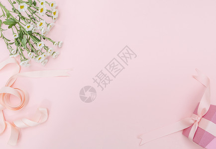 鲜花元素粉色雏菊丝带背景元素留白背景