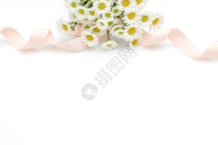 雏菊菊花丝带背景素材高清图片