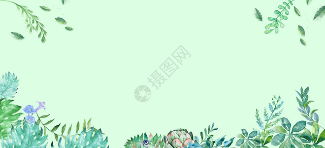 多肉绿色植物小清新banner背景设计图片
