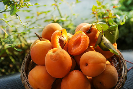 杏子促销夏日水果诱人多汁黄桃背景
