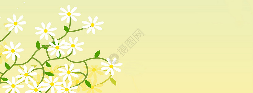 绿雏菊banner背景设计图片
