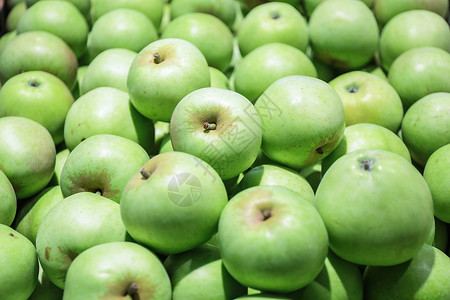 绿色青苹果夏季多彩的苹果背景