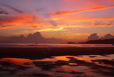 夏天早上嵊泗海边的早上背景