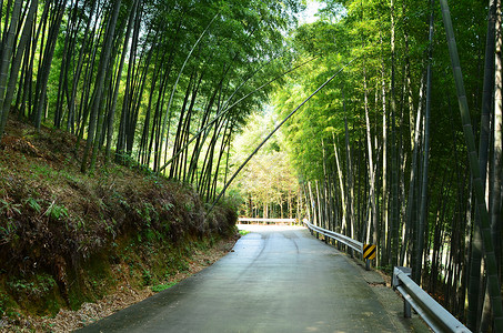 宁波奉化中山公园山上图片