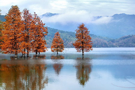 黄山脚下宏村的风景背景