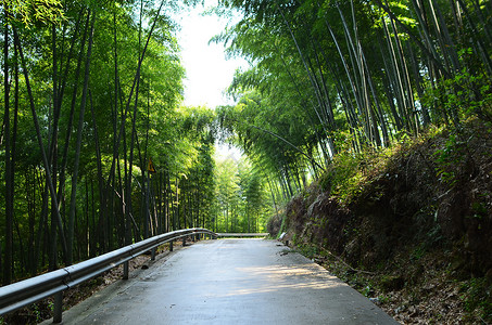 夏天的奉化中山公园图片