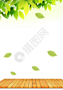 食品环保天然树叶背景设计图片