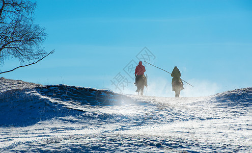 雪地马影背影马光远高清图片