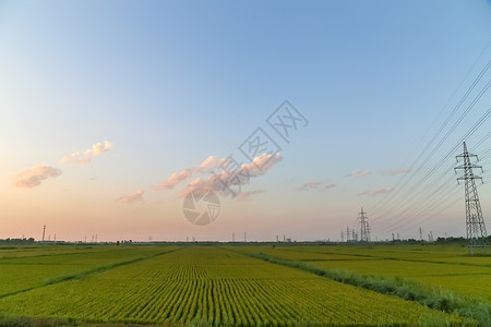 惬意的夏天蓝天白云的田地设计图片