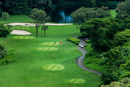 高尔夫球场打高尔夫素材高清图片