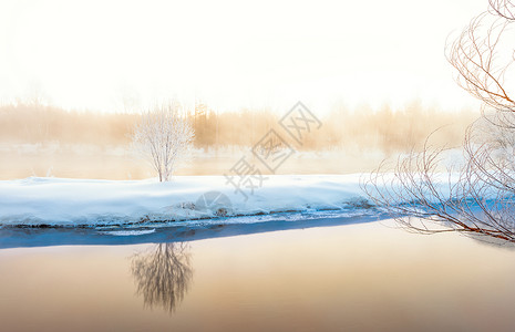 冬天雪松雾凇河流背景