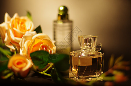 香水玫瑰一瓶鲜花高清图片